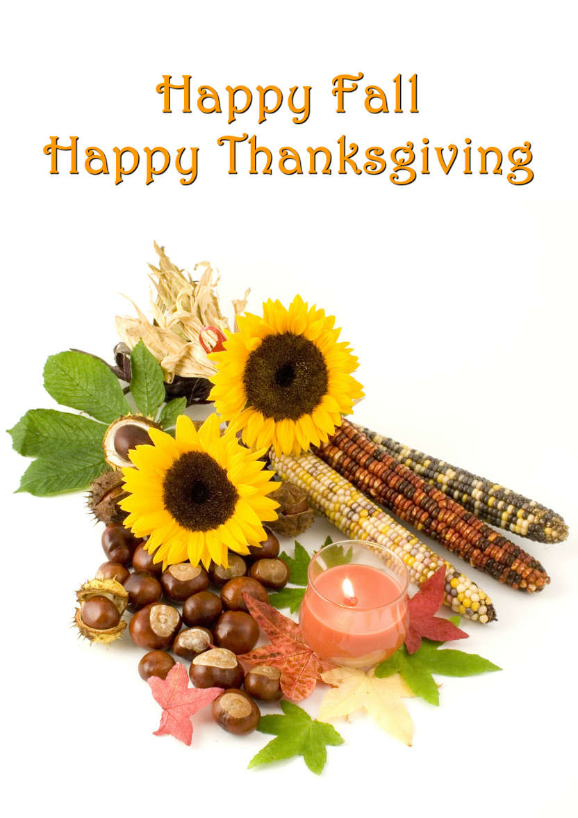 Autumn Harvest - card made with Crafty Bob's Card Creator