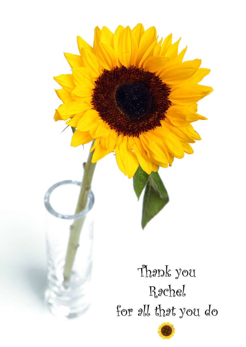 Solitary Sunflower Card Front - card made with Crafty Bob's Card Creator