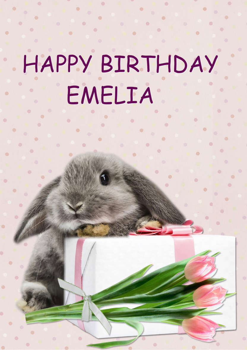 Some Bunny Birthday - card made with Crafty Bob's Card Creator