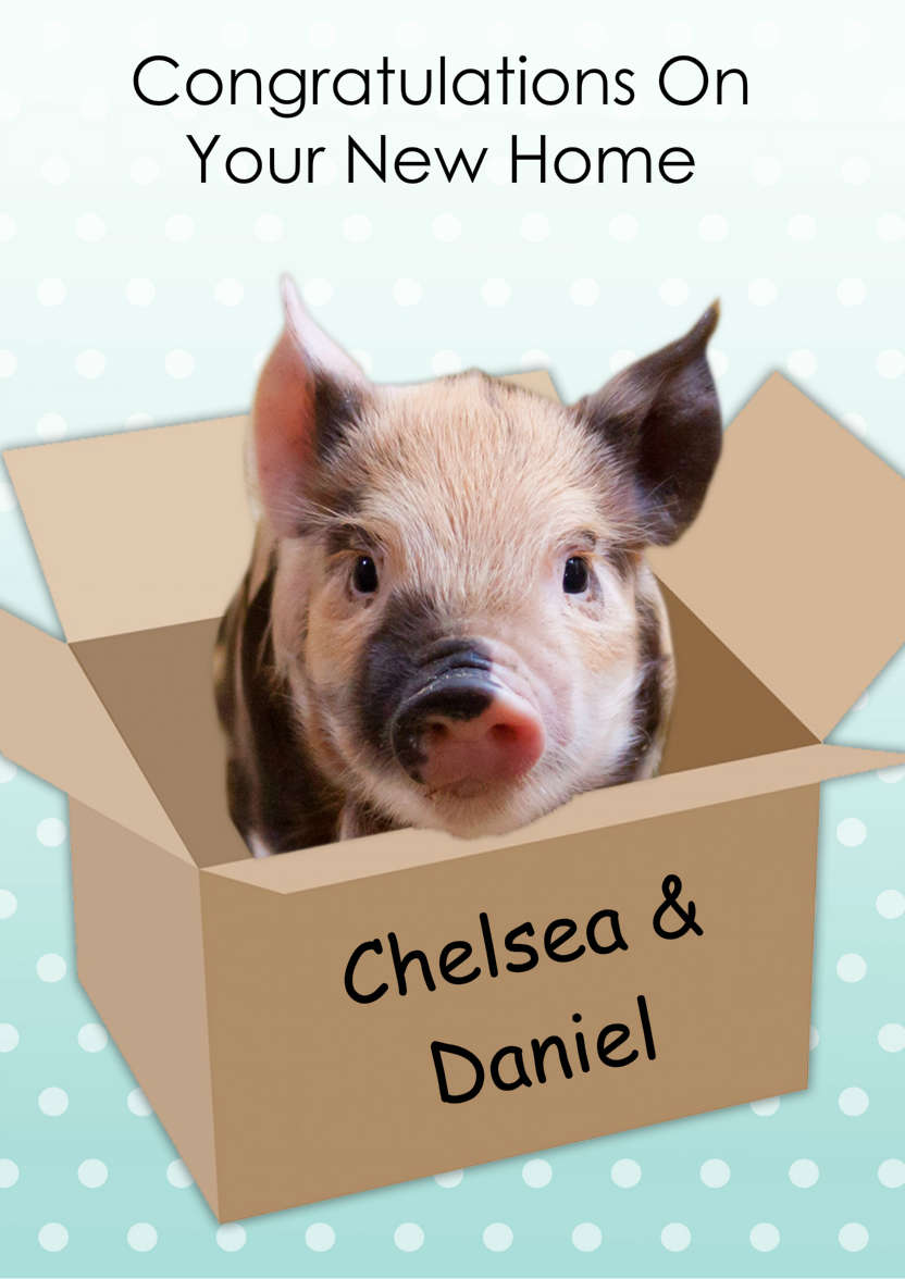 Cute Pig New Home Card - card made with Crafty Bob's Card Creator