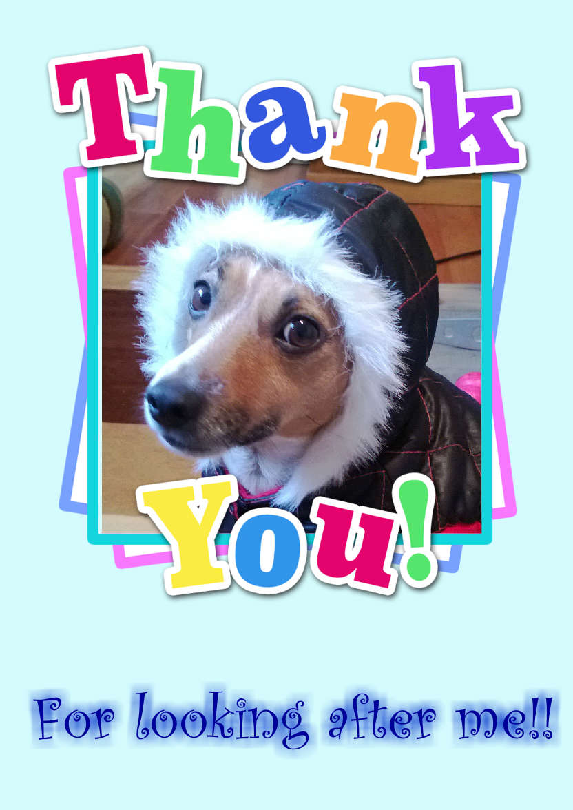 Thank You Aperture Card Front - card made with Crafty Bob's Card Creator