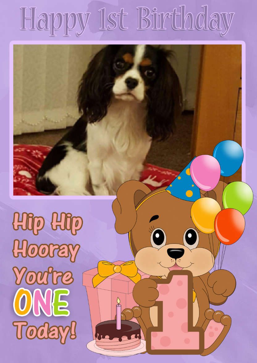 1st Birthday Puppy Dog Your Photo Here Card - card made with Crafty Bob's Card Creator