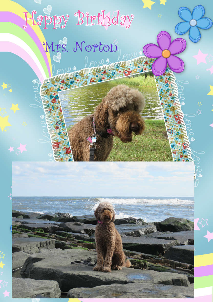 Pretty Flower Frame - card made with Crafty Bob's Card Creator