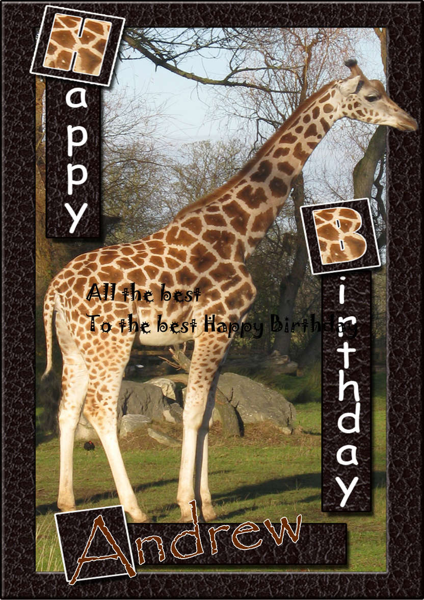 Birthday Giraffe - card made with Crafty Bob's Card Creator