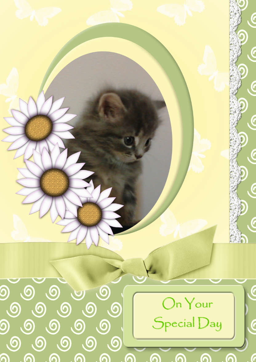 Daisy Chain - card made with Crafty Bob's Card Creator
