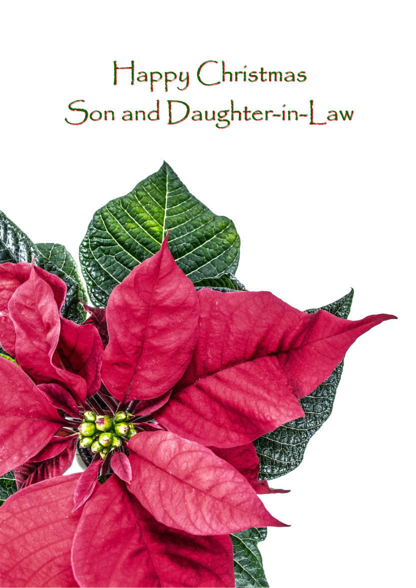 Christmas Poinsettia Card - card made with Crafty Bob's Card Creator