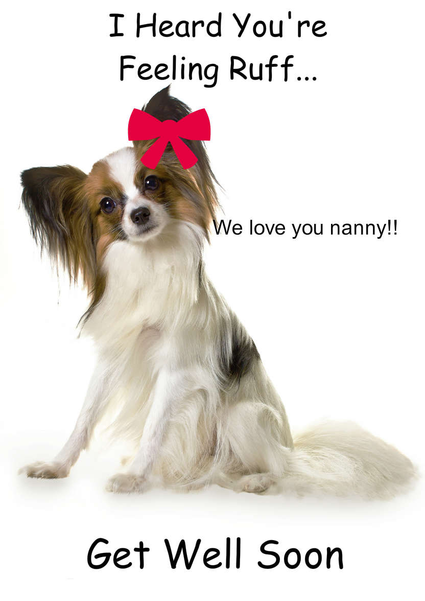 Papillon Dog Card - card made with Crafty Bob's Card Creator