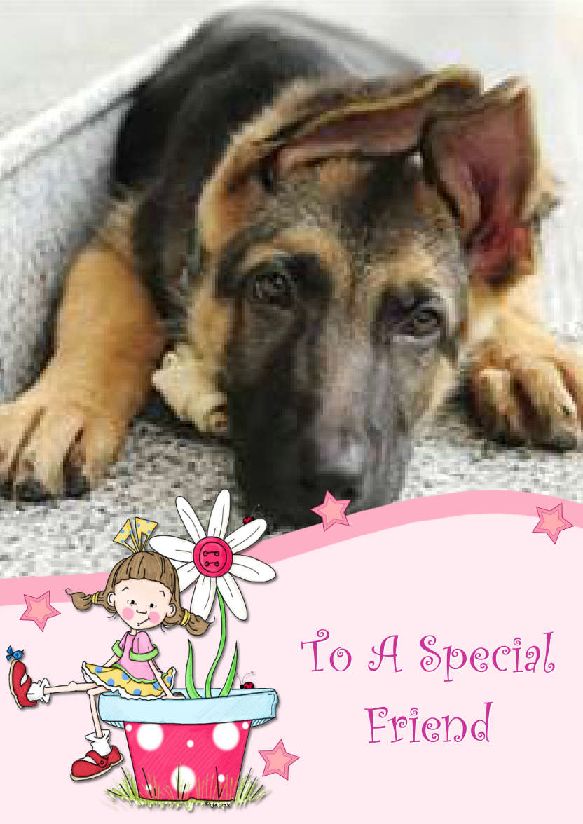 Pollys Flower Photo Card - card made with Crafty Bob's Card Creator