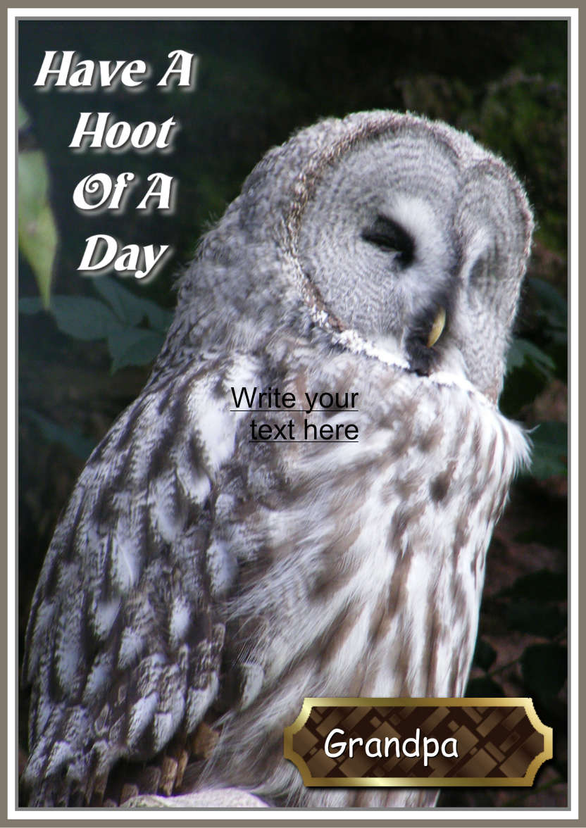 Have a Hoot of a Day - card made with Crafty Bob's Card Creator