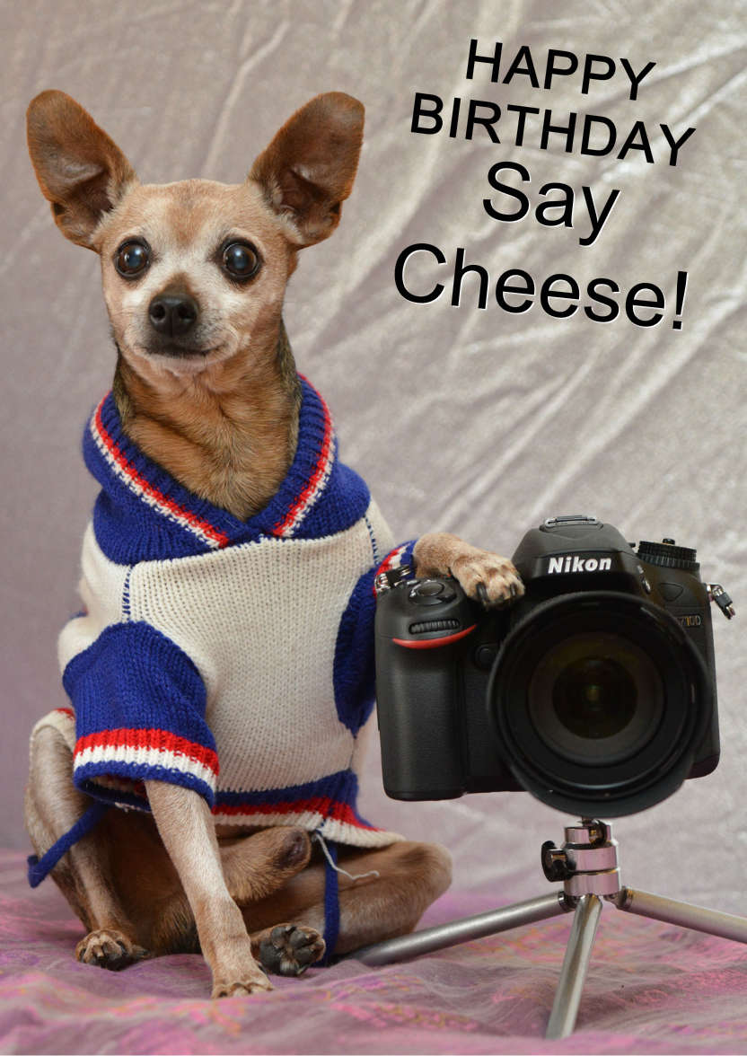 Chihuahua Photographer Card - card made with Crafty Bob's Card Creator