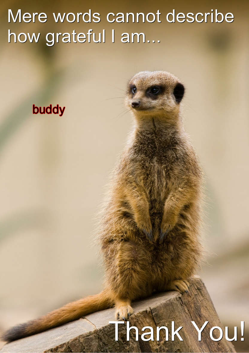 Meerkat Thank You Card Front - card made with Crafty Bob's Card Creator