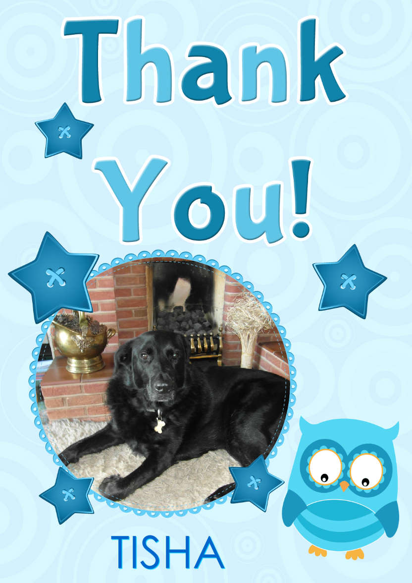 Thank You Owl Photo Card - card made with Crafty Bob's Card Creator
