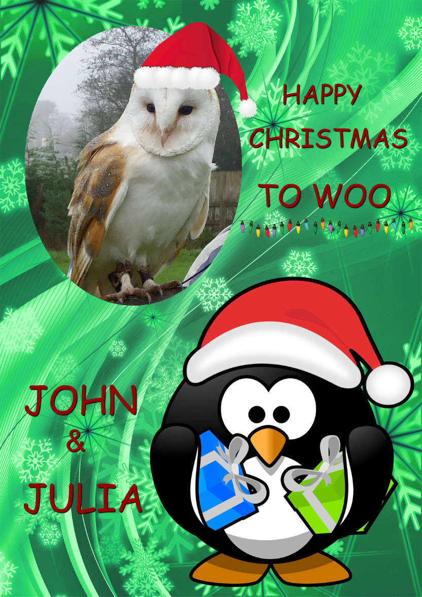 Christmas Penguin Aperture Card - card made with Crafty Bob's Card Creator
