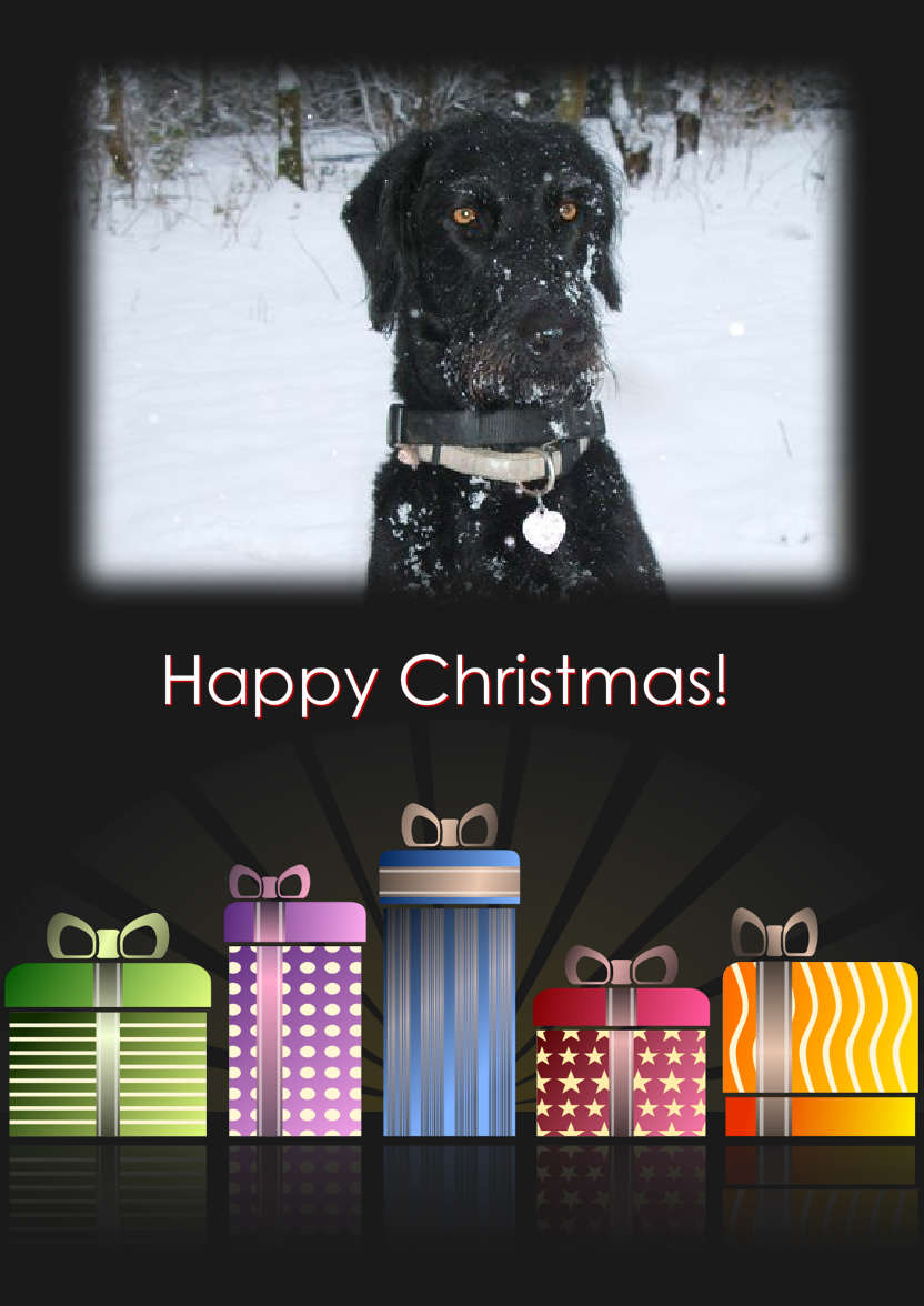 Modern Christmas Present Photo Card - card made with Crafty Bob's Card Creator