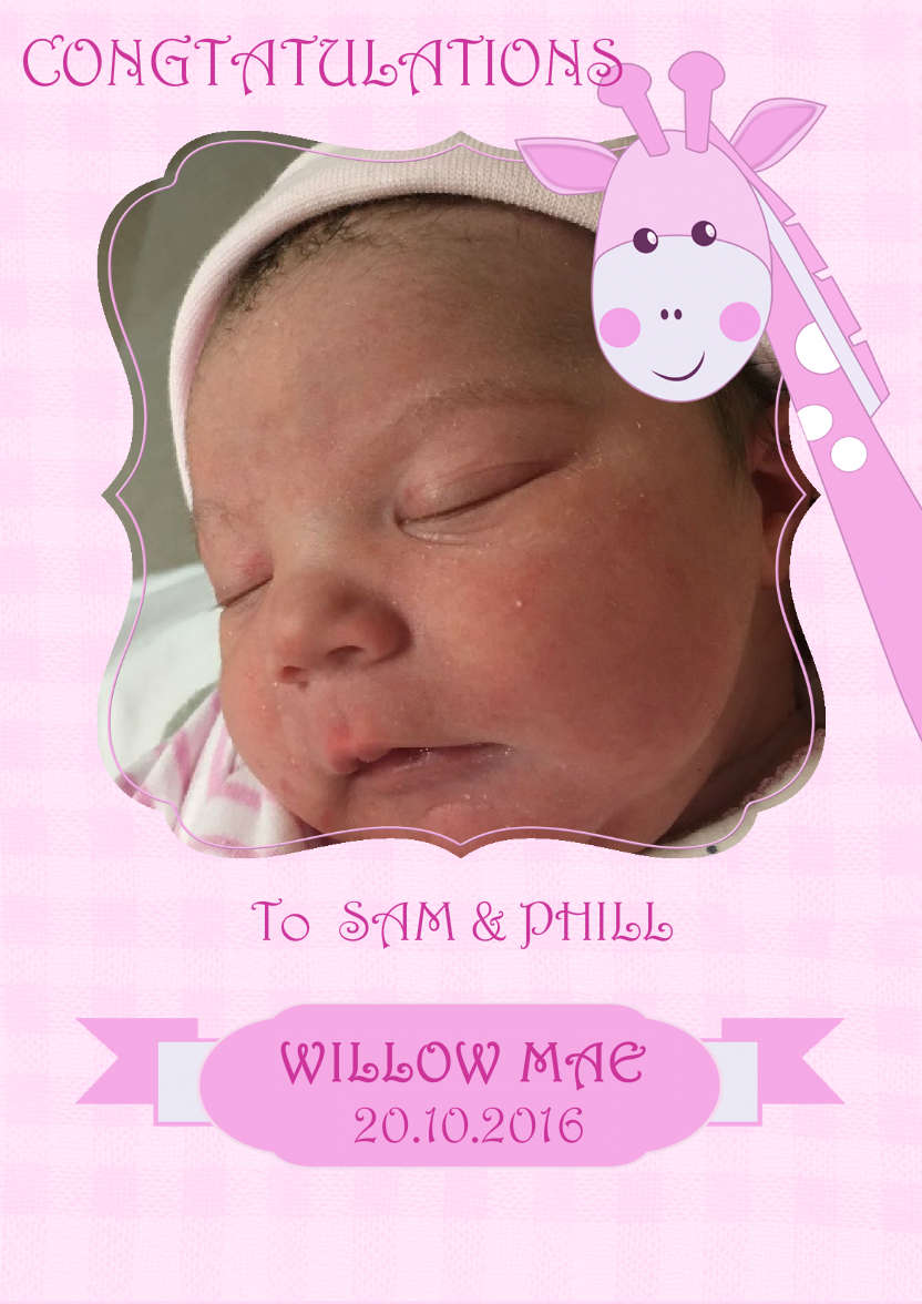 Baby Girl Giraffe Photo Card - card made with Crafty Bob's Card Creator