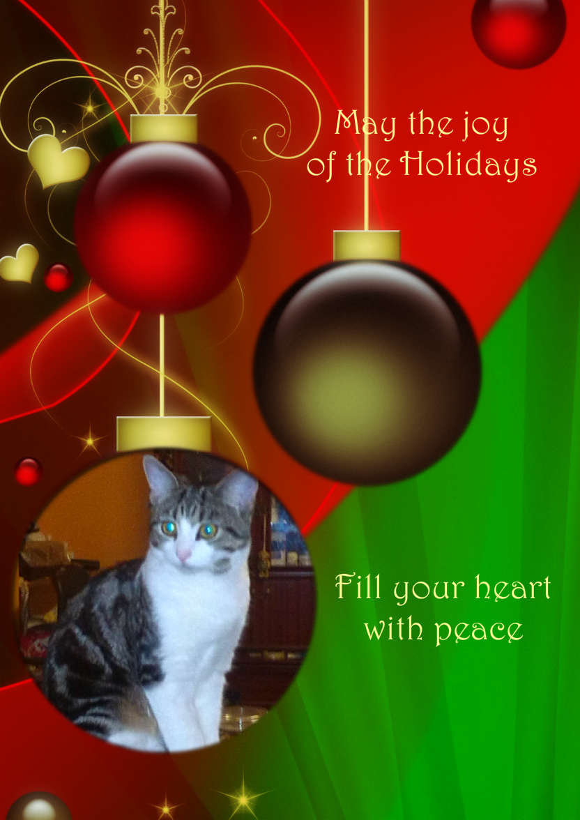 Red and Green Vintage Ornament Christmas Photo Card - card made with Crafty Bob's Card Creator