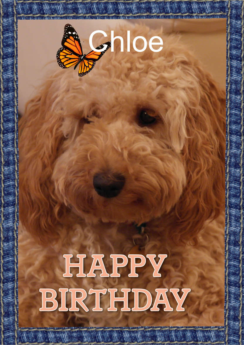 Cute Birthday - card made with Crafty Bob's Card Creator