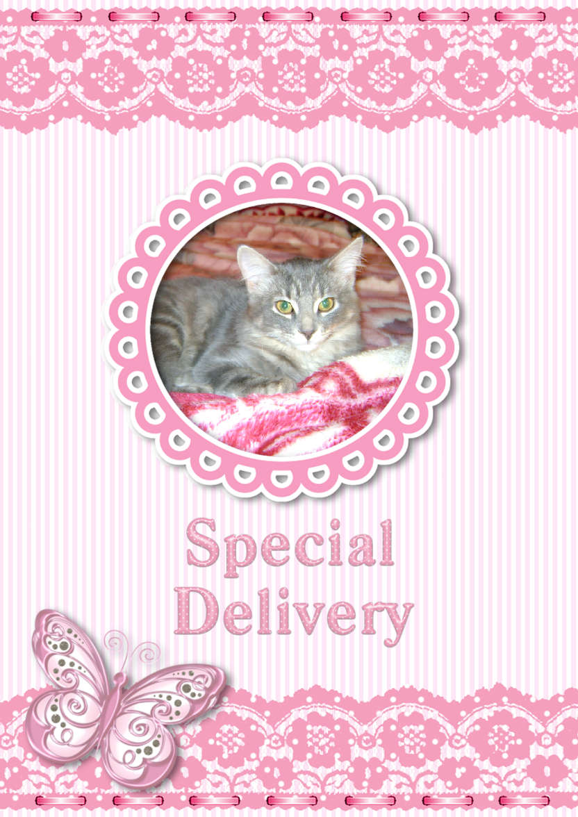Special Delivery - Girl - card made with Crafty Bob's Card Creator