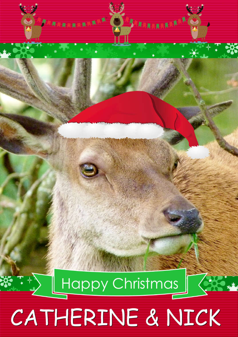 Christmas Frame Card - card made with Crafty Bob's Card Creator