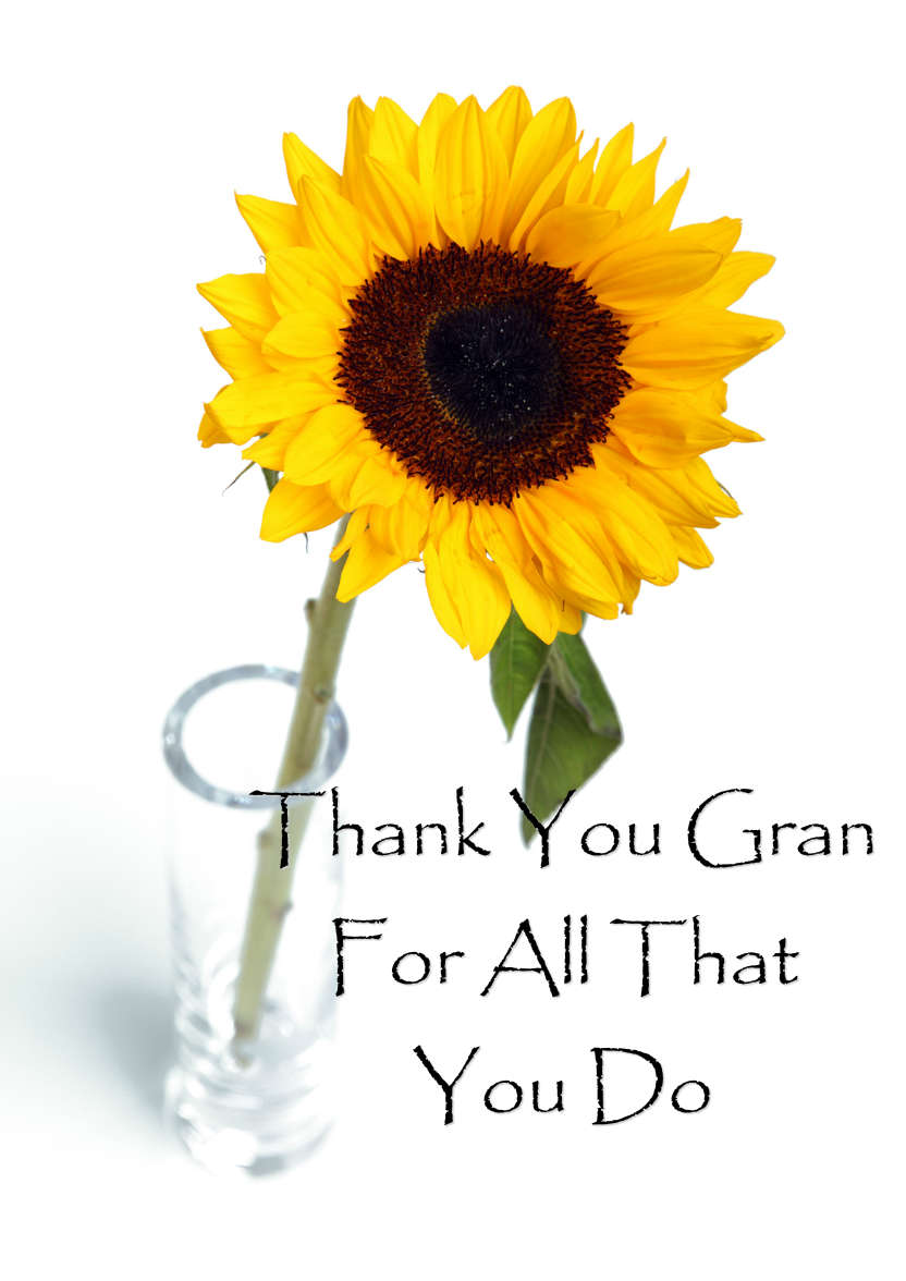 Solitary Sunflower Card Front - card made with Crafty Bob's Card Creator