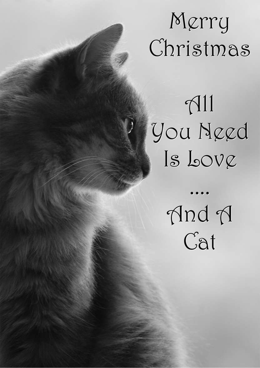 Cat Profile Card - card made with Crafty Bob's Card Creator