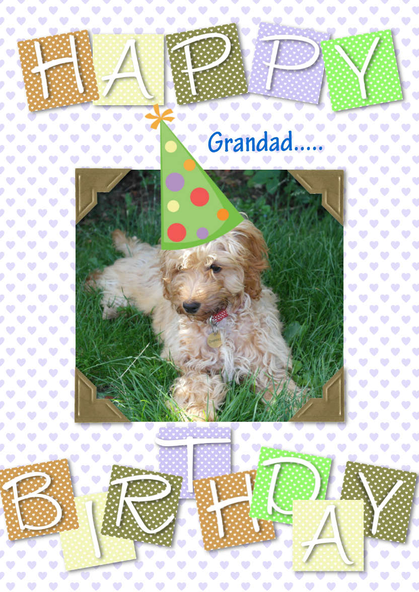 Cute Birthday - card made with Crafty Bob's Card Creator
