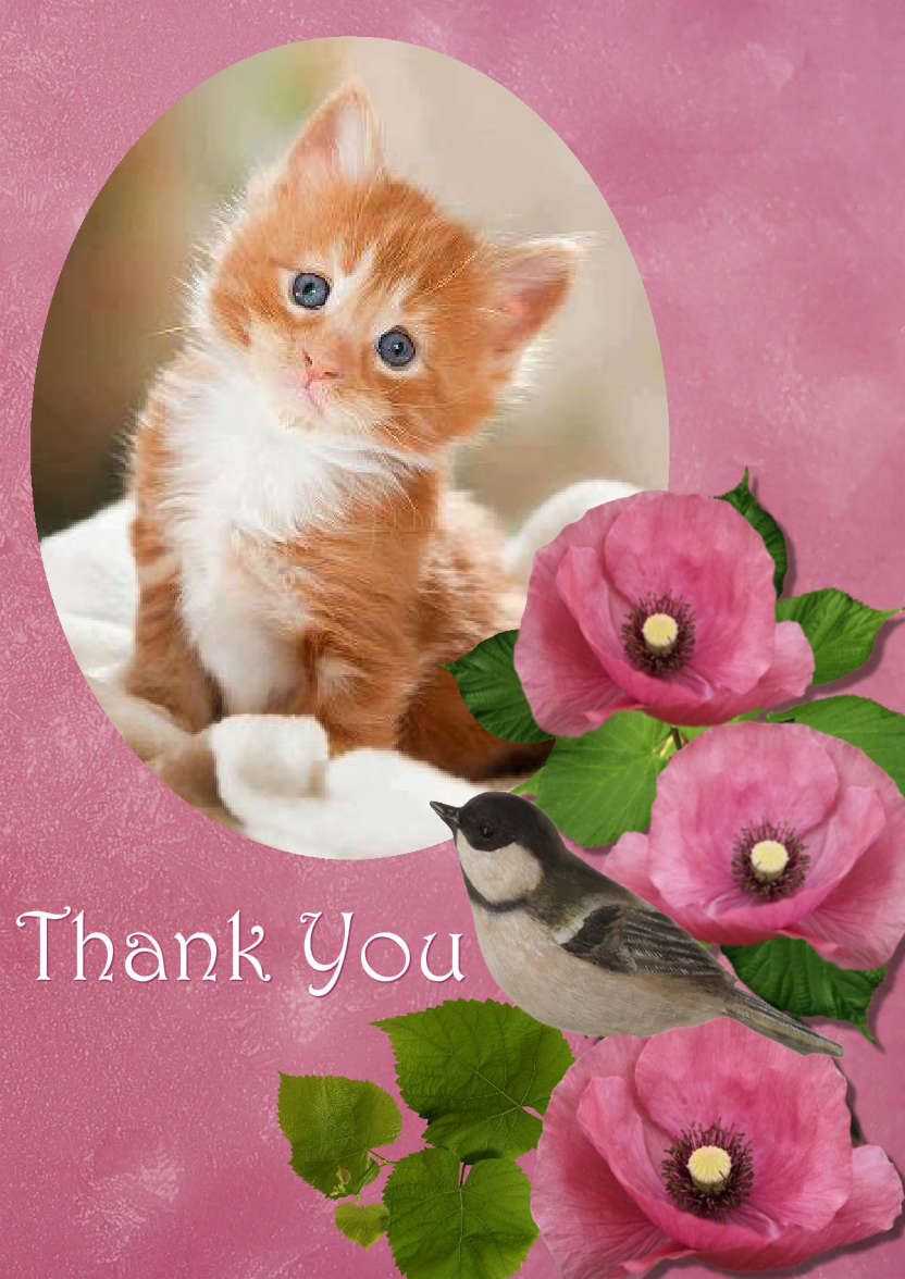 Floral Aperture Photo Card - card made with Crafty Bob's Card Creator