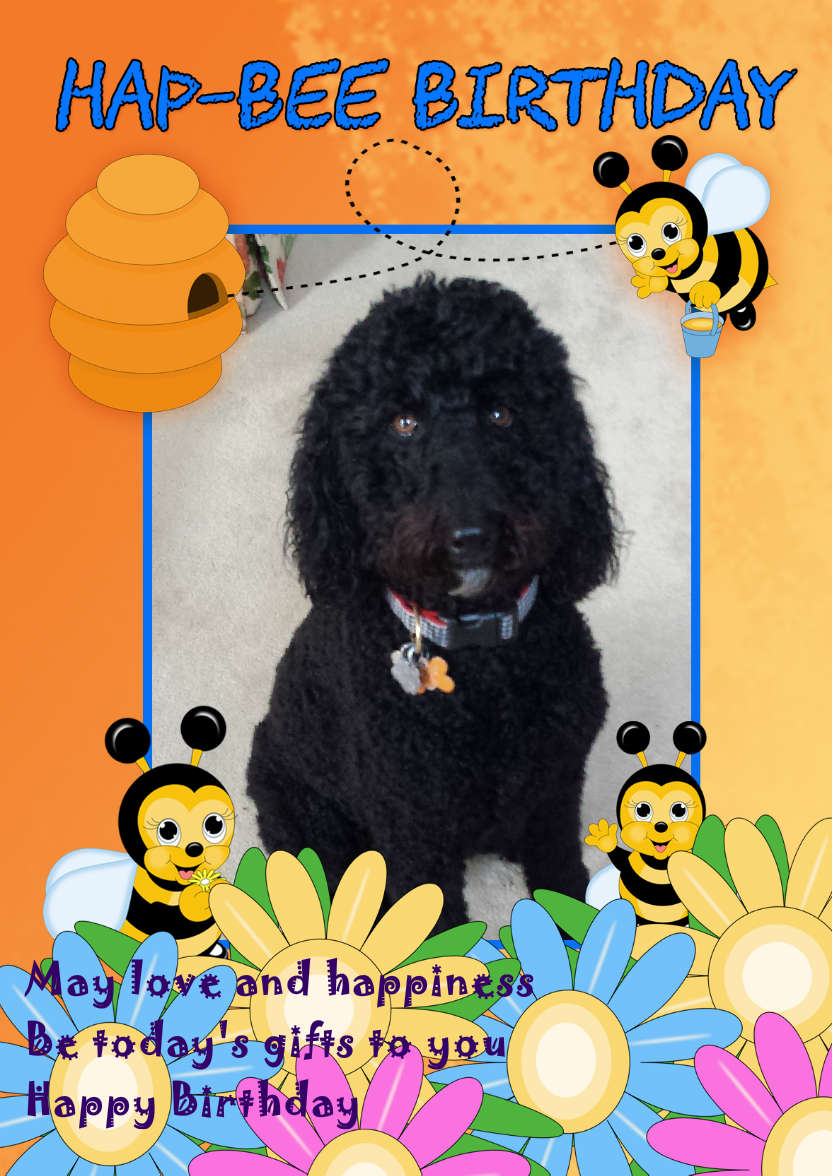 Bee Birthday Card Your Photo Here - card made with Crafty Bob's Card Creator