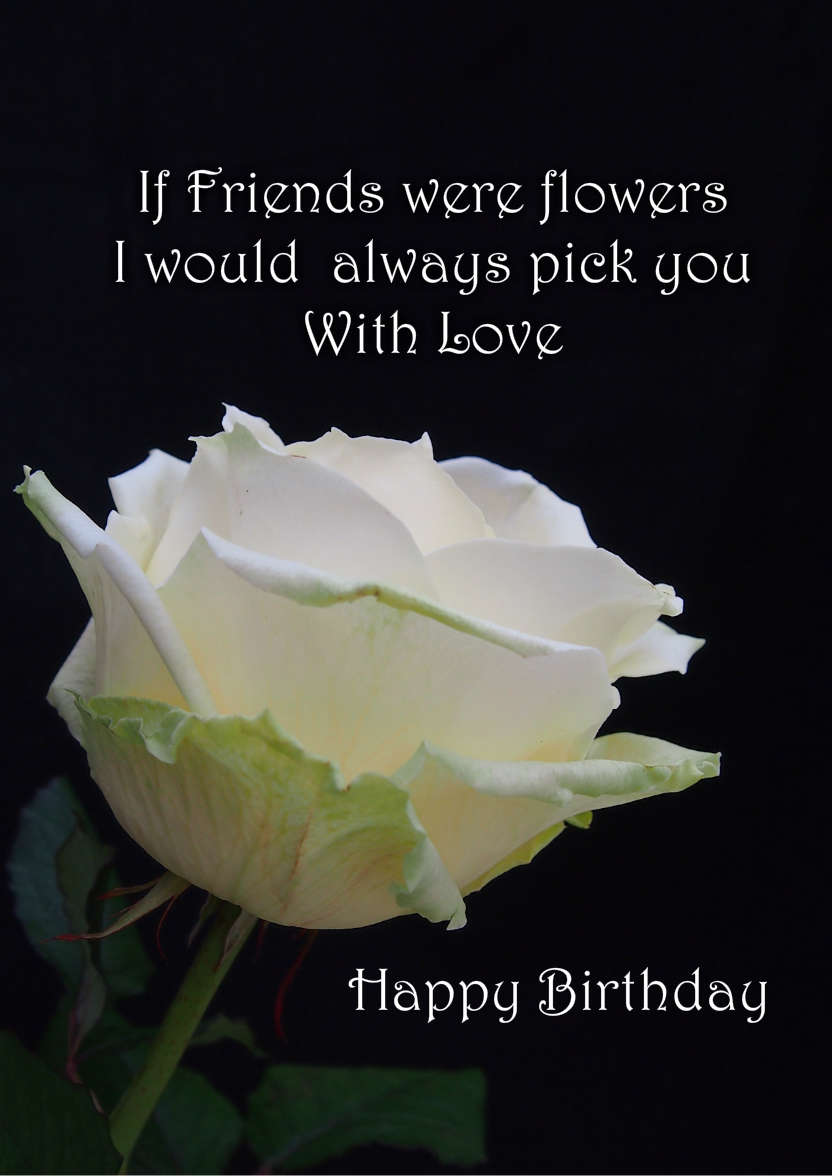Simple Rose - card made with Crafty Bob's Card Creator
