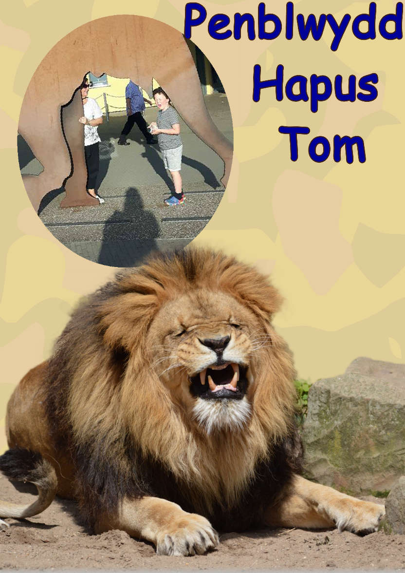 Laughing Lion Photo Card - card made with Crafty Bob's Card Creator