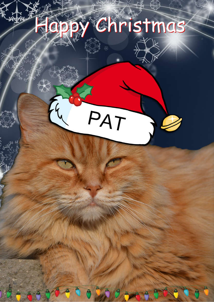 Christmas Cat - card made with Crafty Bob's Card Creator