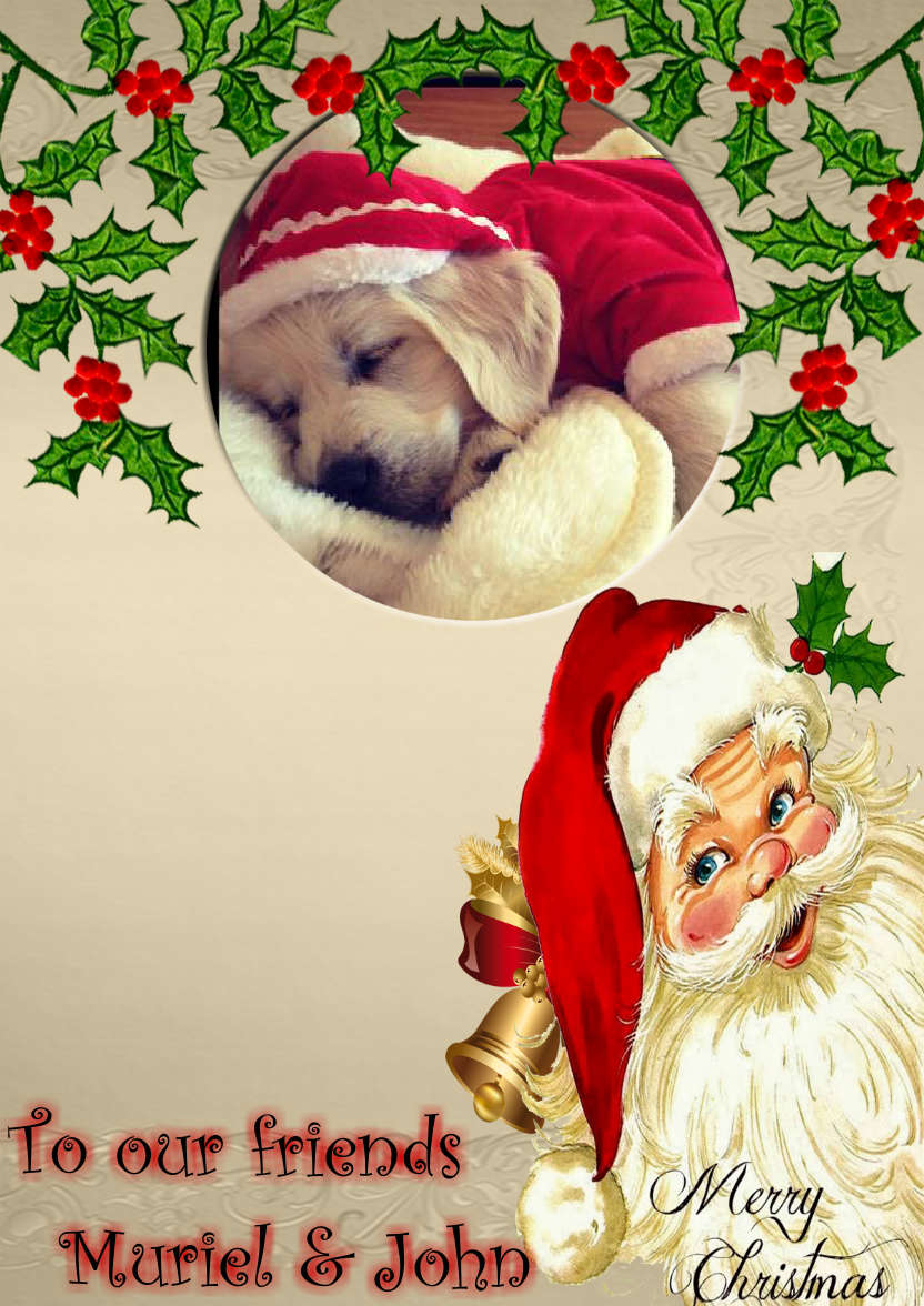 Christmas Photo Card with Santa - card made with Crafty Bob's Card Creator