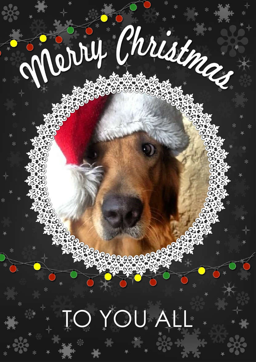 Black Snowflake Frame Christmas Card - card made with Crafty Bob's Card Creator