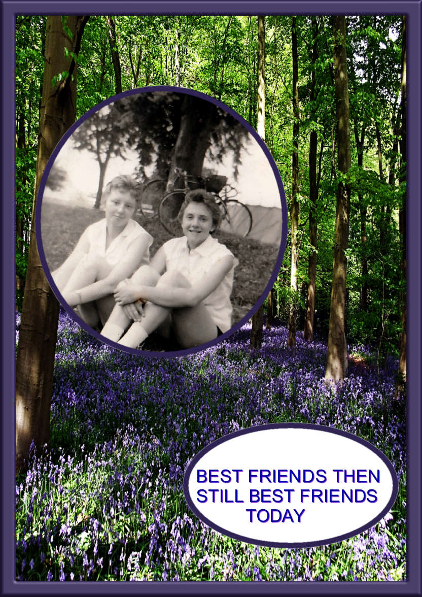 Blue Bluebelle Woods - card made with Crafty Bob's Card Creator