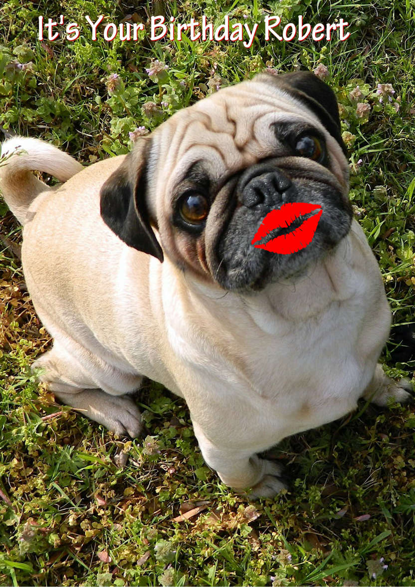 Pugs and Kisses Cute Card Front - card made with Crafty Bob's Card Creator