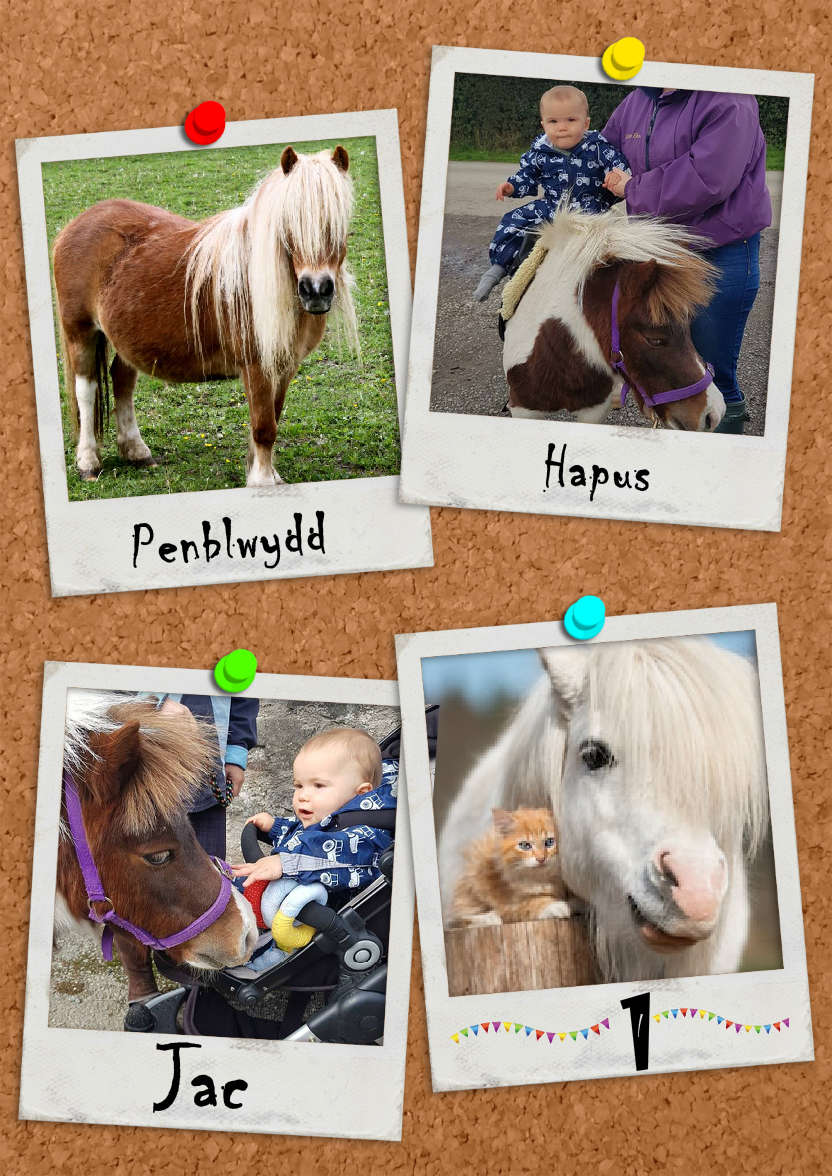 Polaroids on Corkboard Photo Card - card made with Crafty Bob's Card Creator