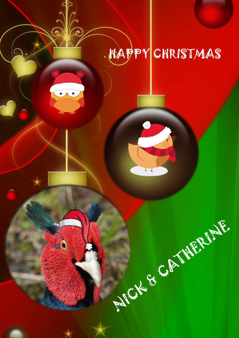 Red and Green Vintage Ornament Christmas Photo Card - card made with Crafty Bob's Card Creator