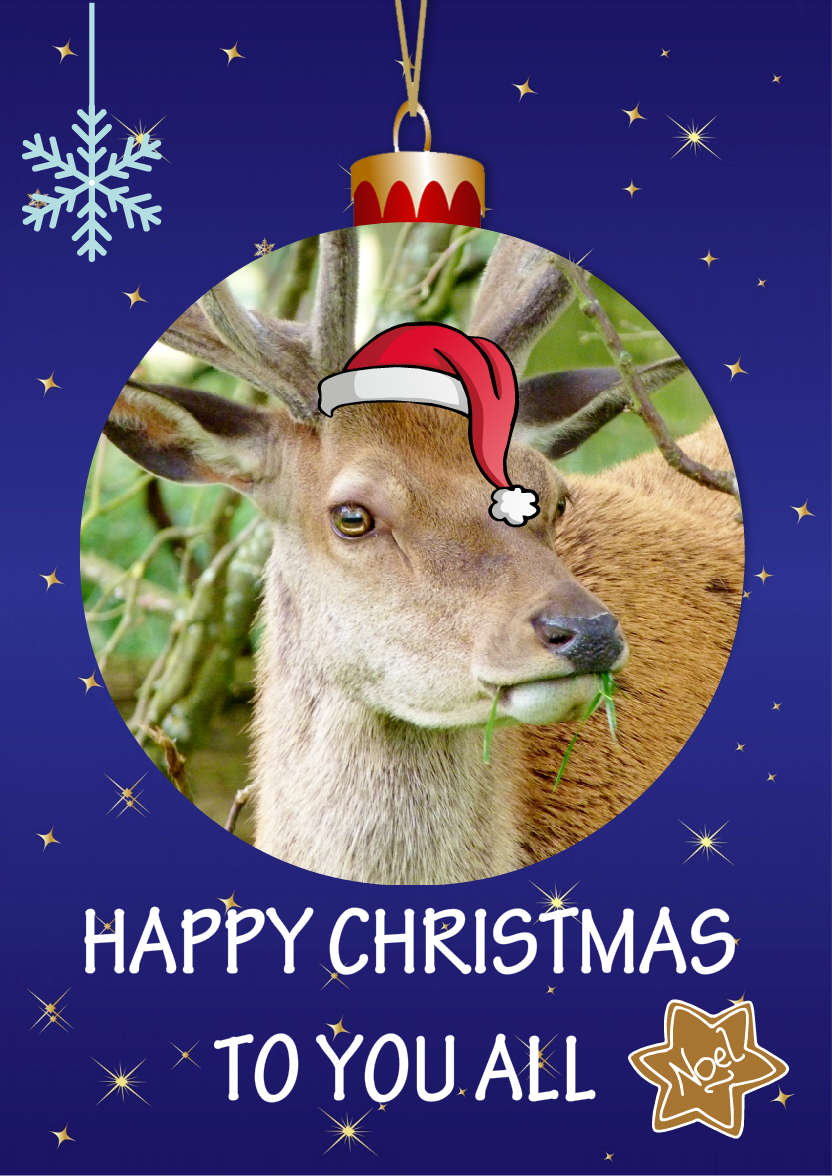 Amaze Baubles Christmas Card - card made with Crafty Bob's Card Creator