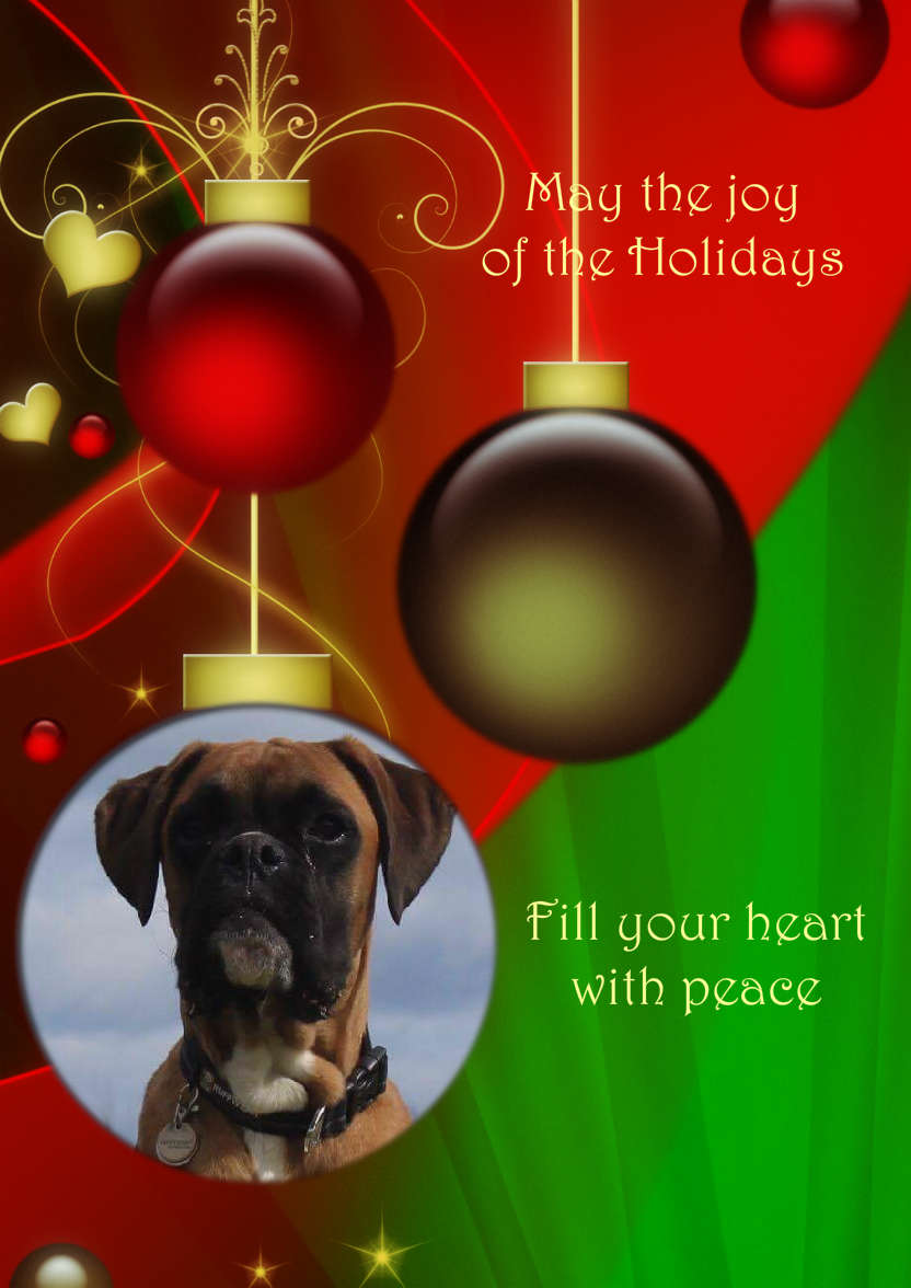 Red and Green Vintage Ornament Christmas Photo Card - card made with Crafty Bob's Card Creator