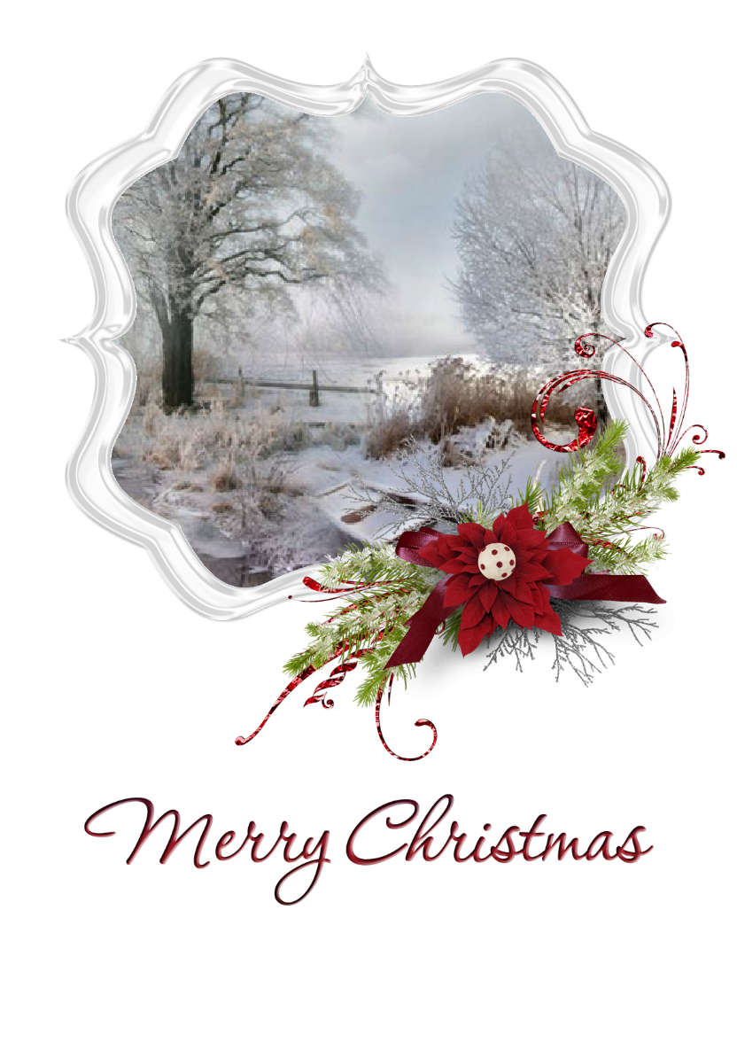 Frosted Poinsettia Frame - card made with Crafty Bob's Card Creator