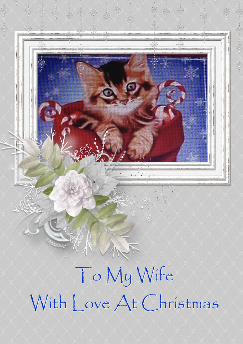 Winter Frame Photo Card - card made with Crafty Bob's Card Creator
