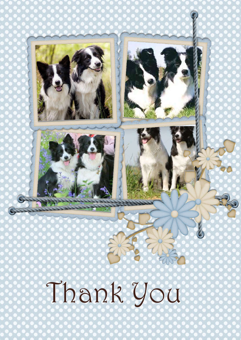 Floral Multi-frame Photo Card - card made with Crafty Bob's Card Creator