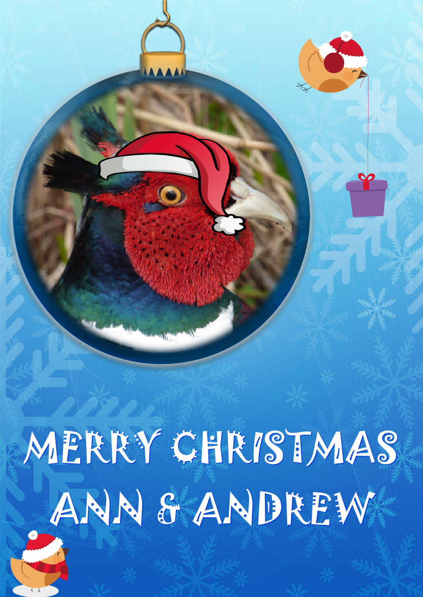 Christmas Bauble Aperture Card - card made with Crafty Bob's Card Creator
