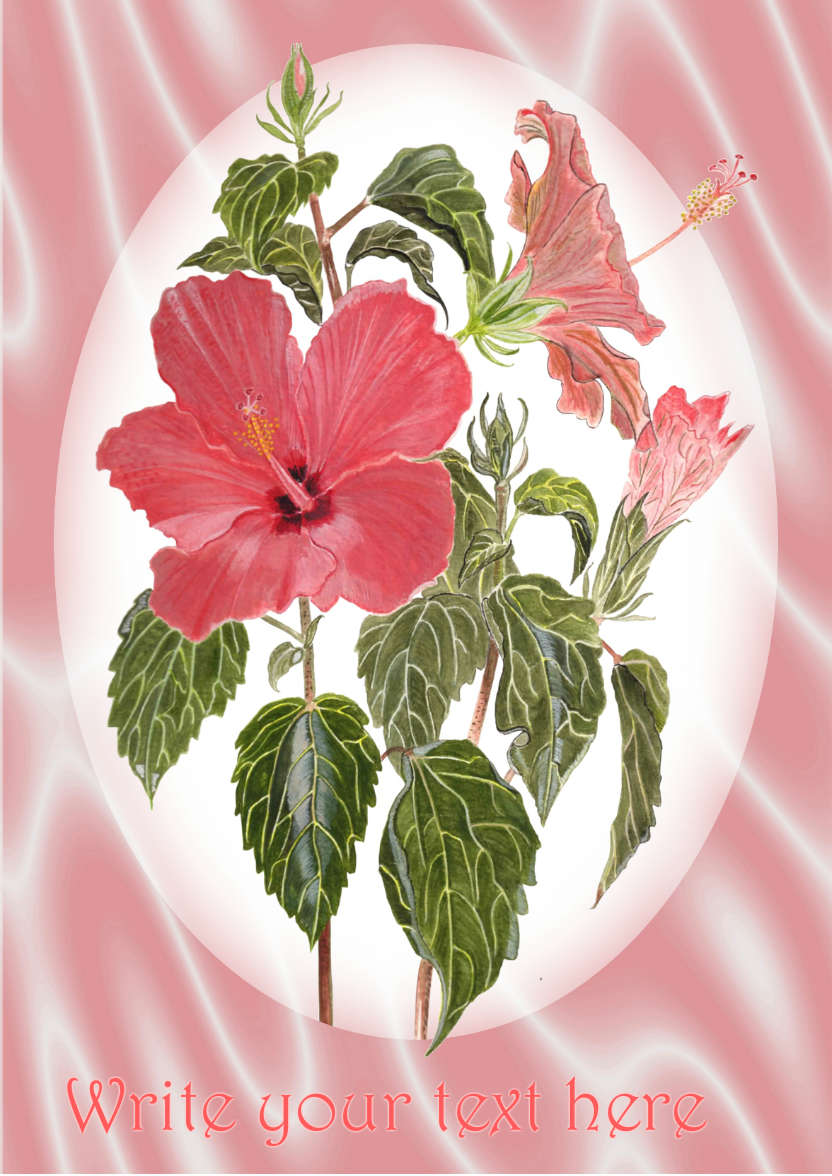 Pink Hibiscus and Satin - card made with Crafty Bob's Card Creator