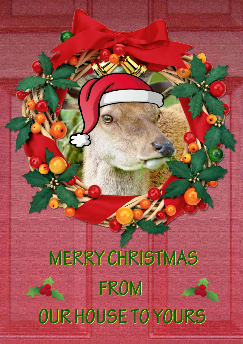 Christmas Door Photo Card - card made with Crafty Bob's Card Creator
