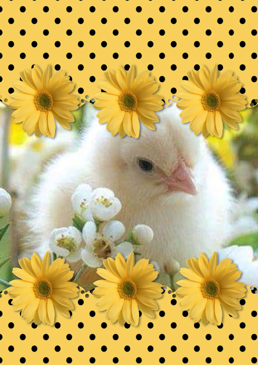 Dazzling in Yellow - card made with Crafty Bob's Card Creator