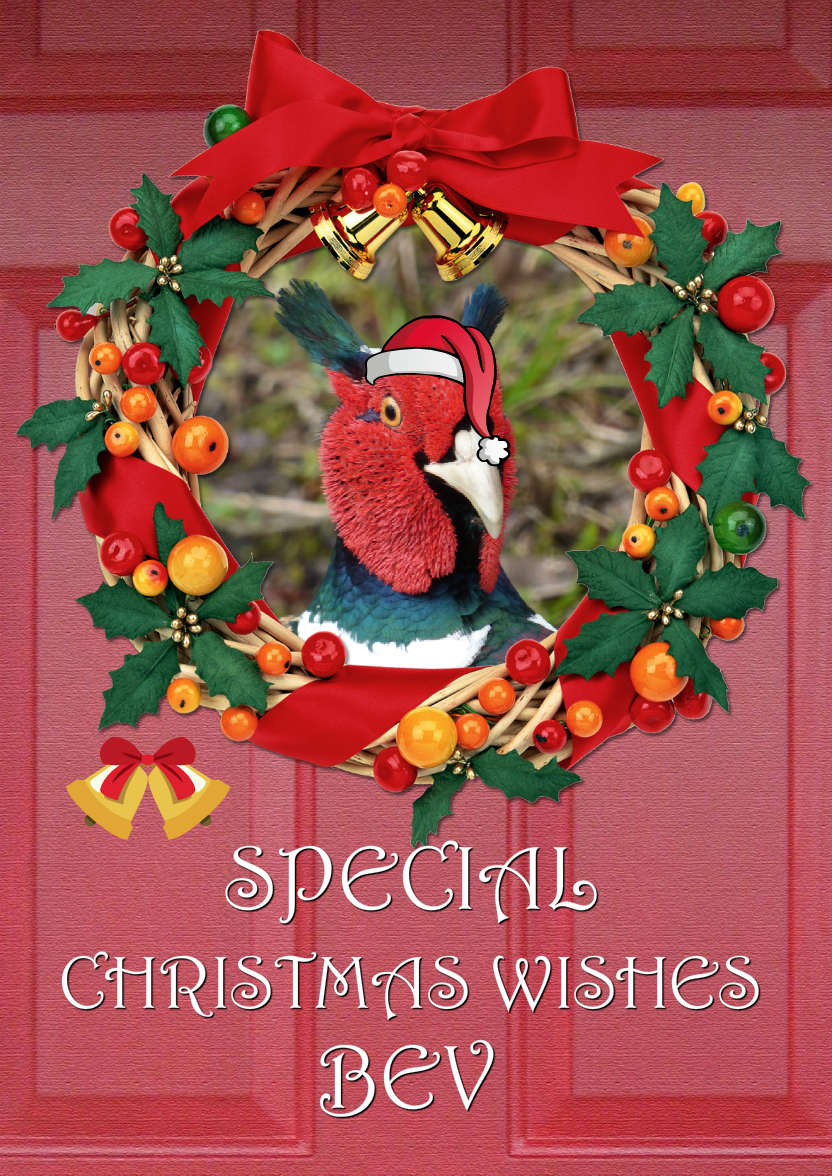 Christmas Door Photo Card - card made with Crafty Bob's Card Creator