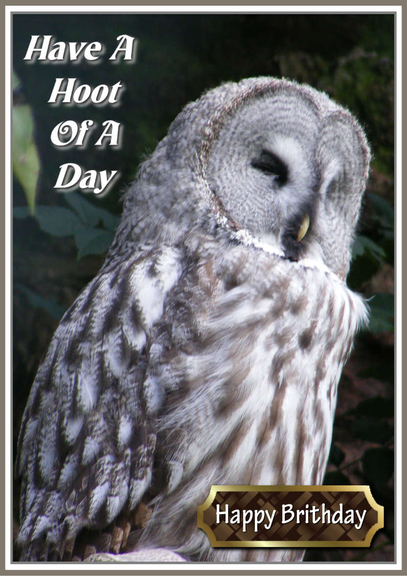 Have a Hoot of a Day - card made with Crafty Bob's Card Creator