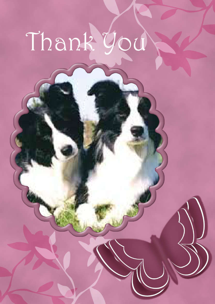 Thank You - Butterfly and Flowers - card made with Crafty Bob's Card Creator