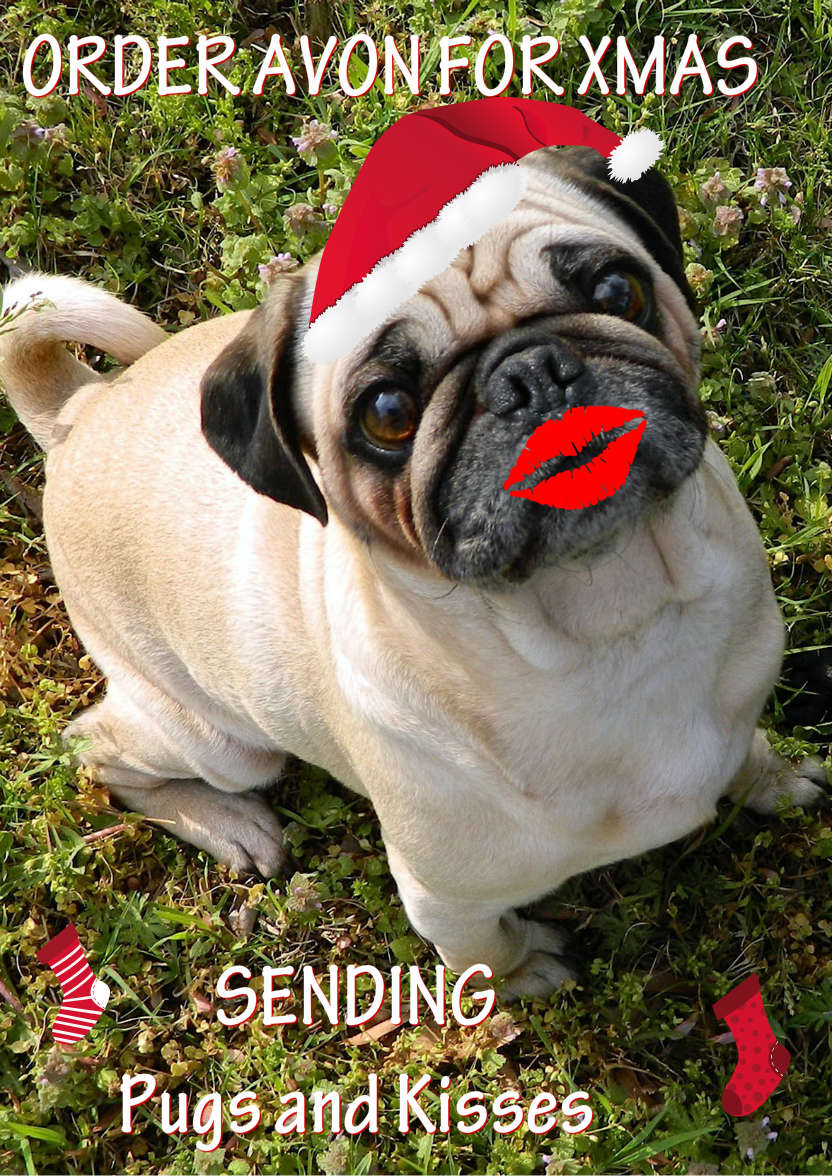 Pugs and Kisses Cute Card Front - card made with Crafty Bob's Card Creator